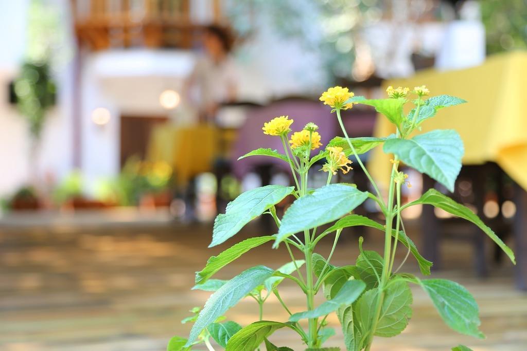 Hotel Akyaka Yali Capkini Exterior foto